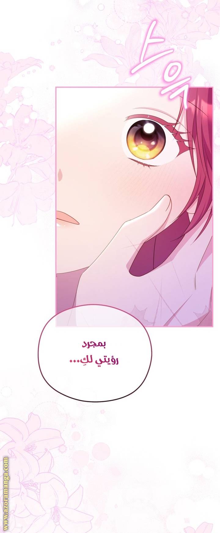 الصفحة 25