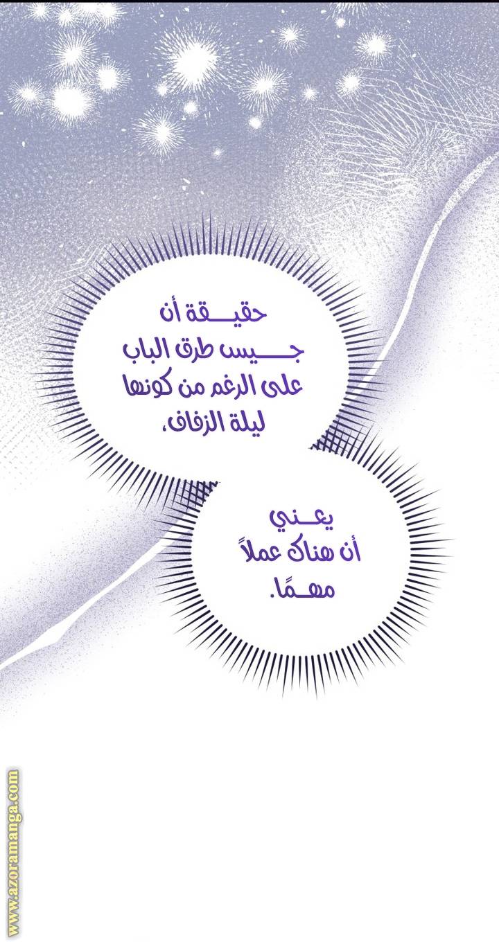 الصفحة 42