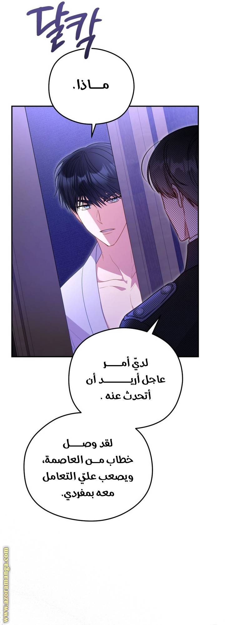 الصفحة 43
