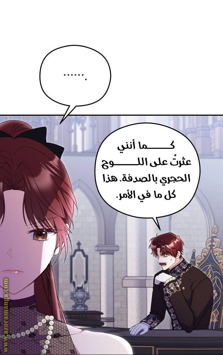 الصفحة 41