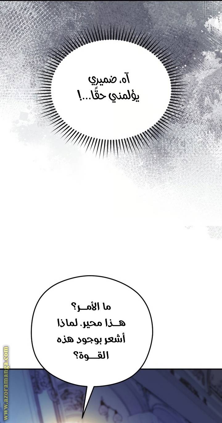 الصفحة 28