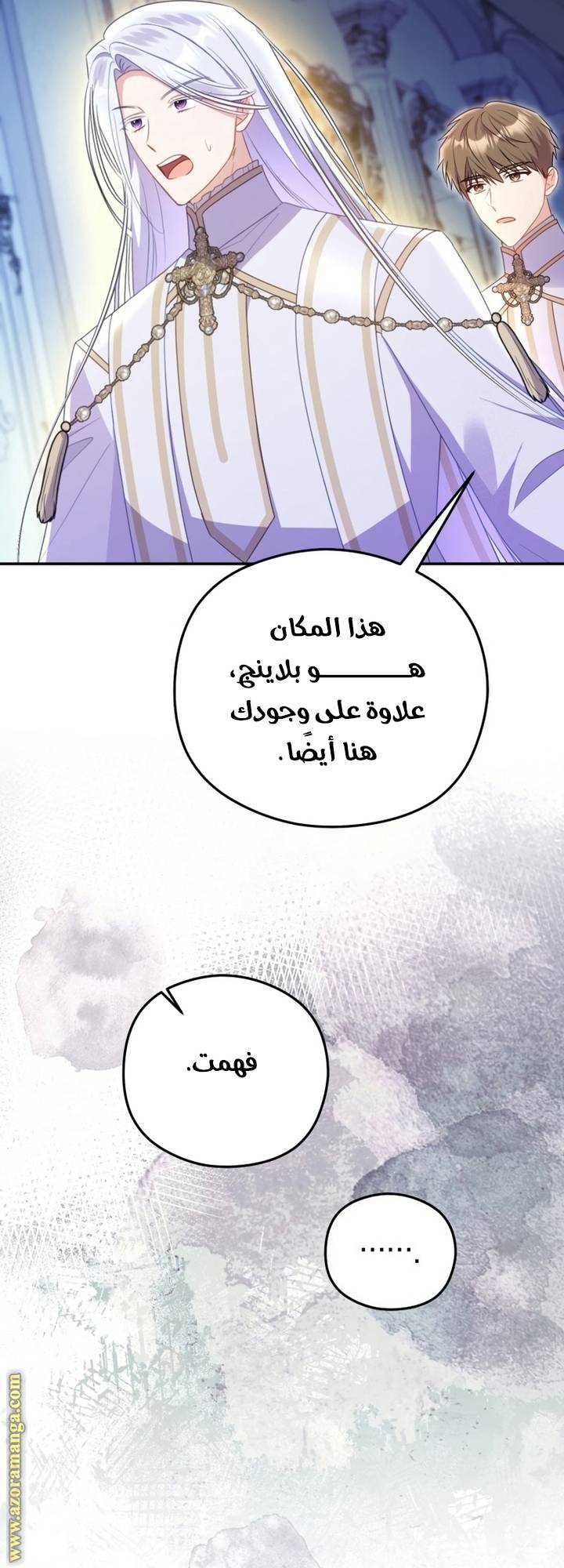 الصفحة 29