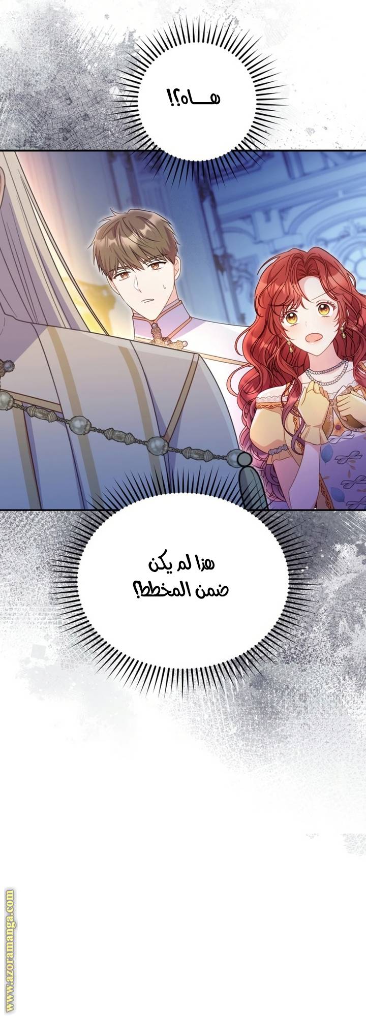 الصفحة 31