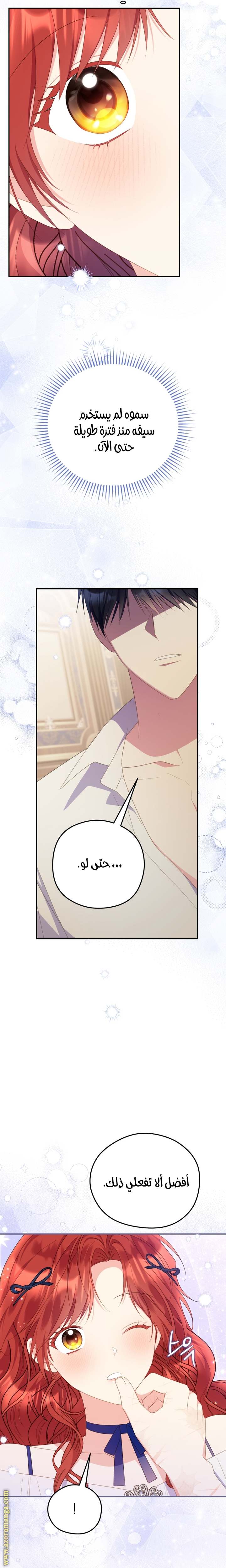 الصفحة 13