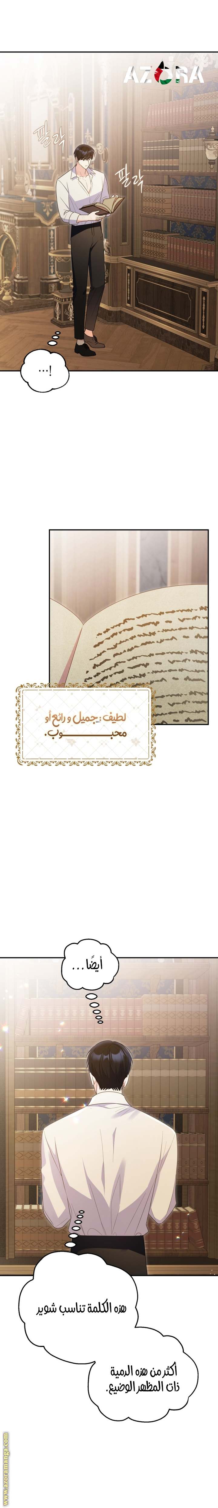 الصفحة 17
