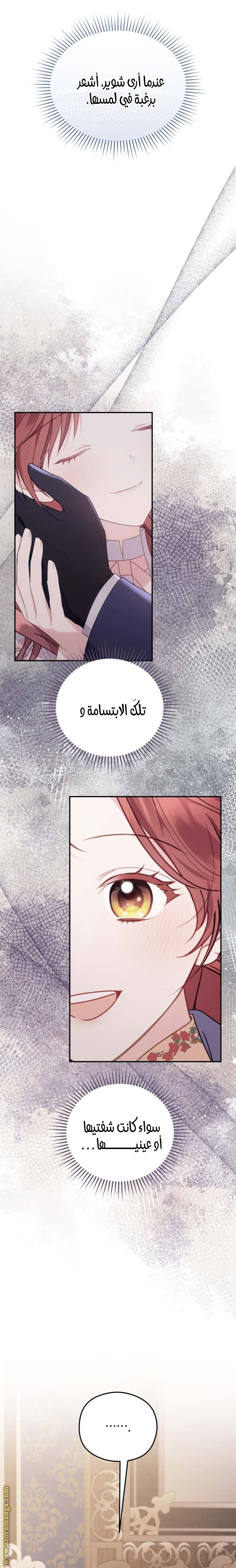 الصفحة 19