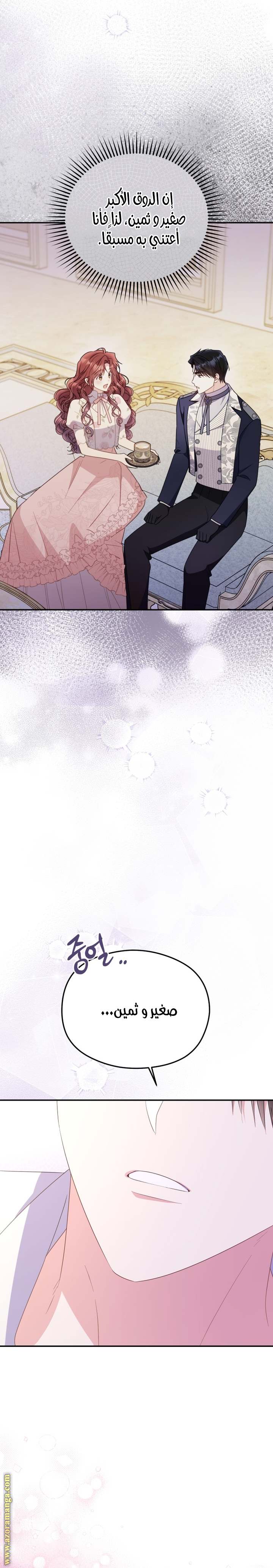 الصفحة 21