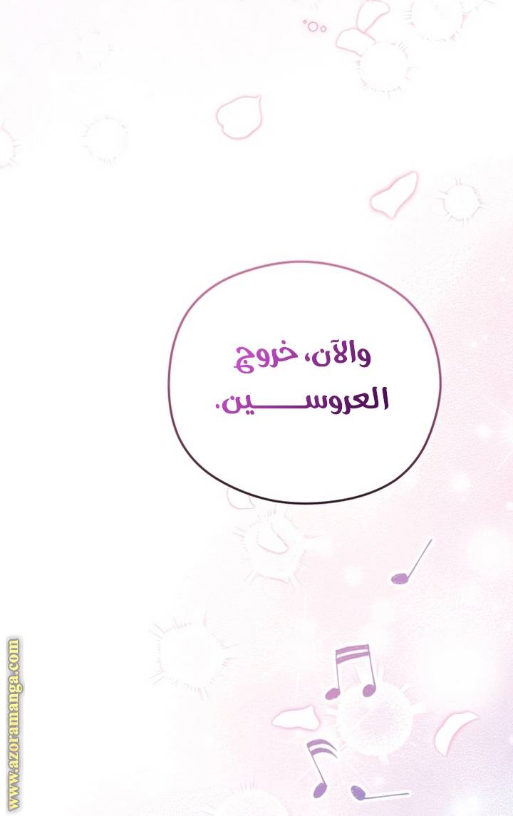 الصفحة 43