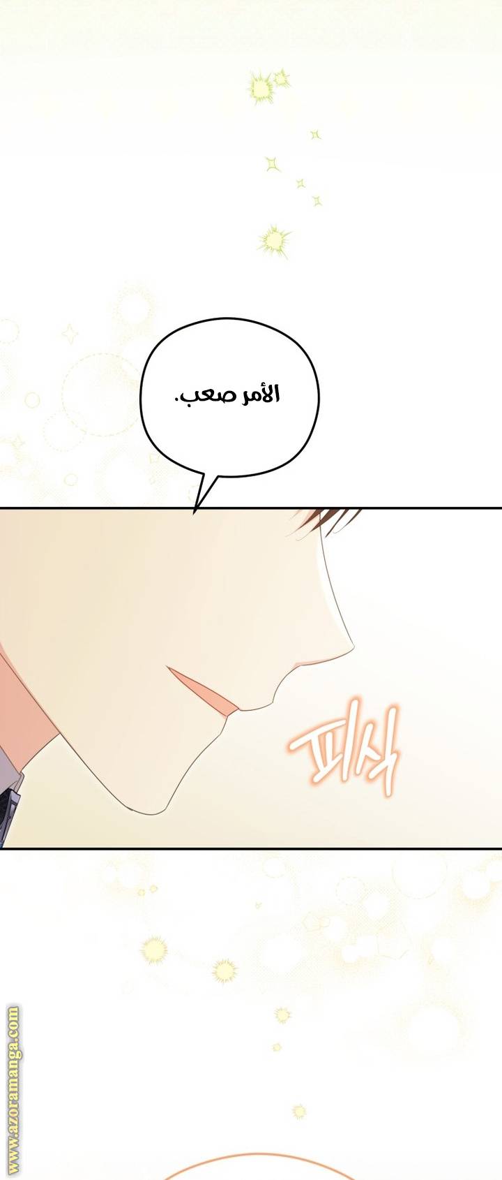 الصفحة 20