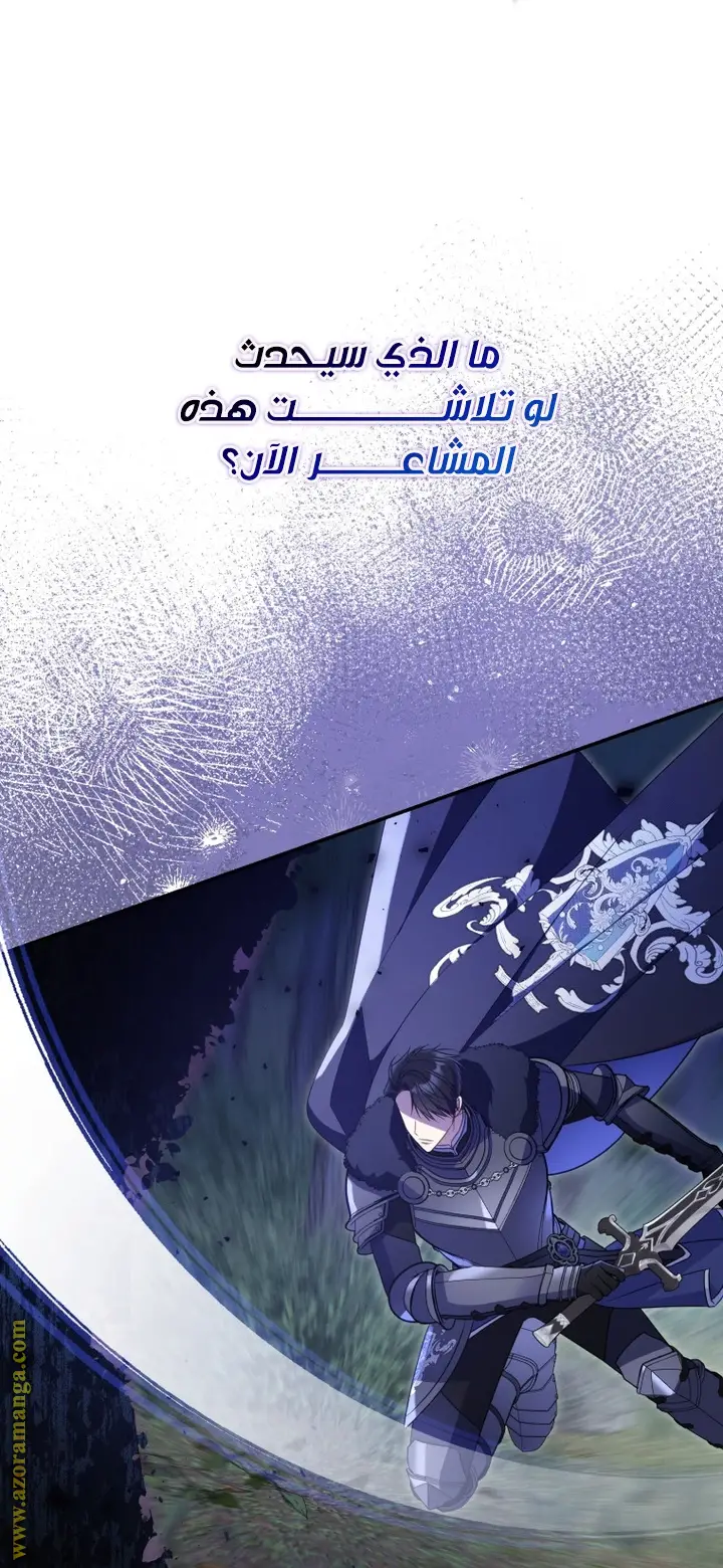 الصفحة 41