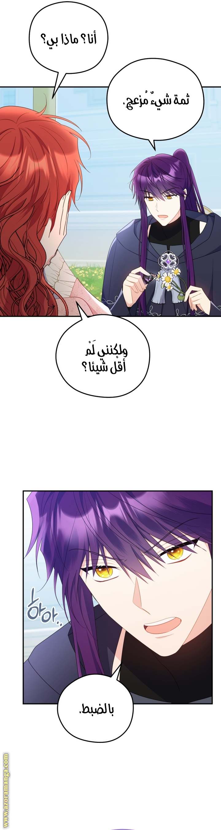 الصفحة 13