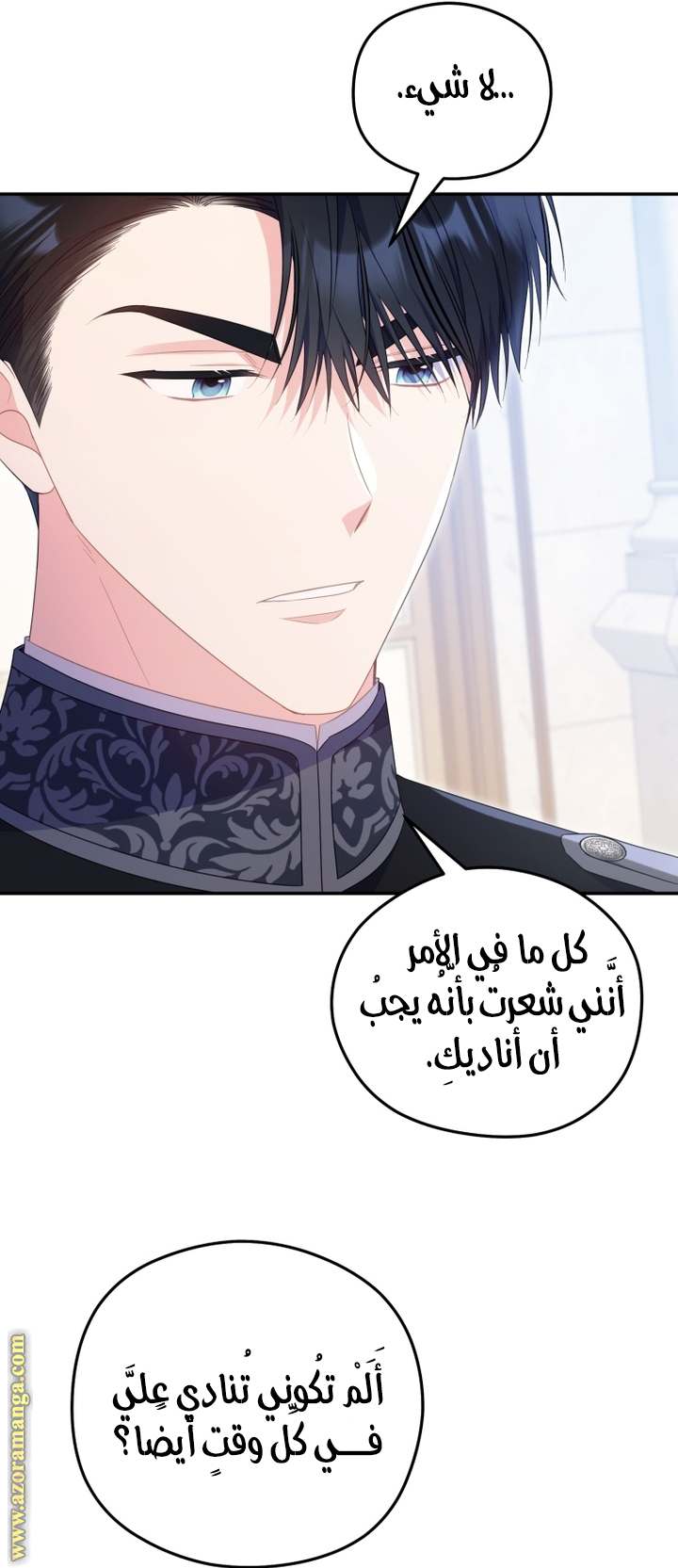 الصفحة 25