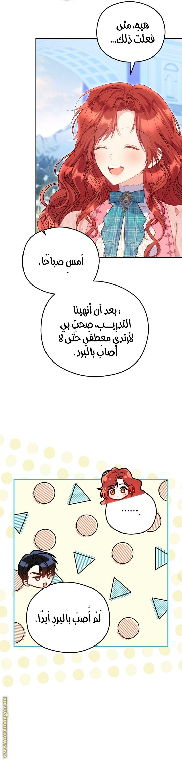 الصفحة 26
