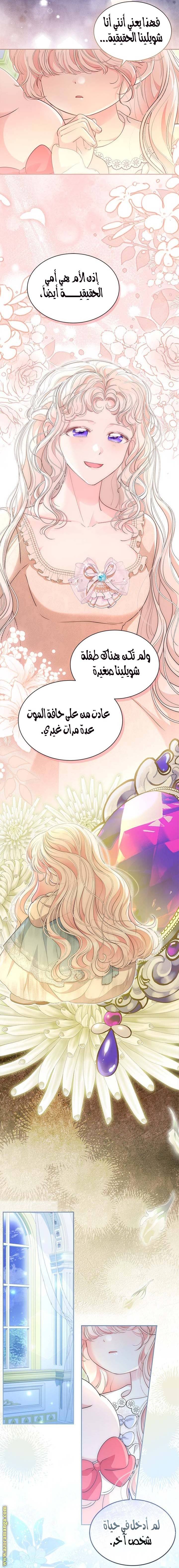 الصفحة 24