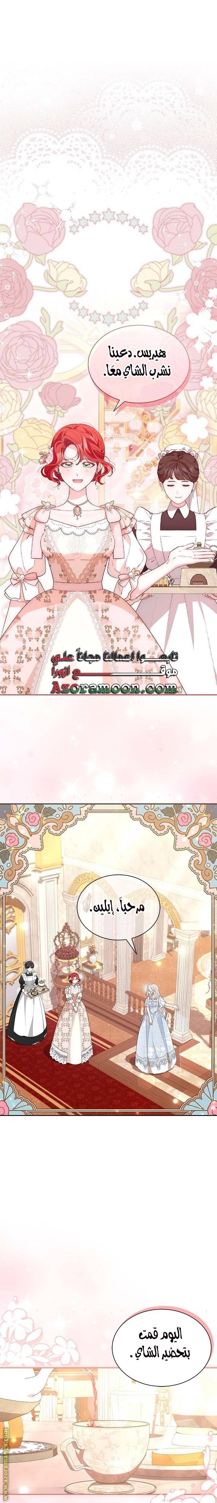 الصفحة 17