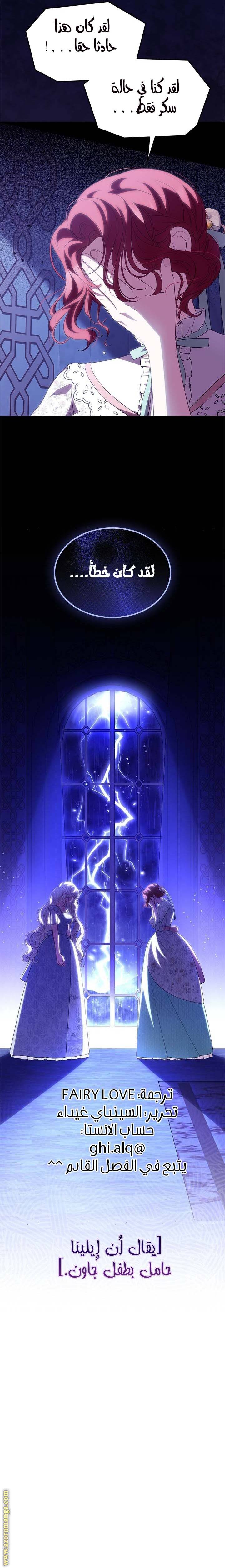 الصفحة 25