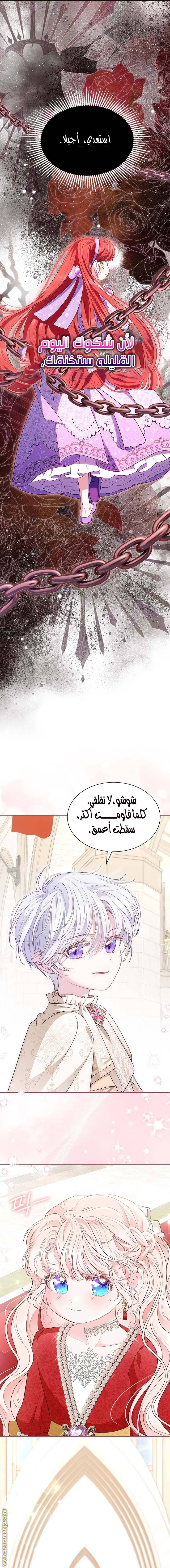 الصفحة 13