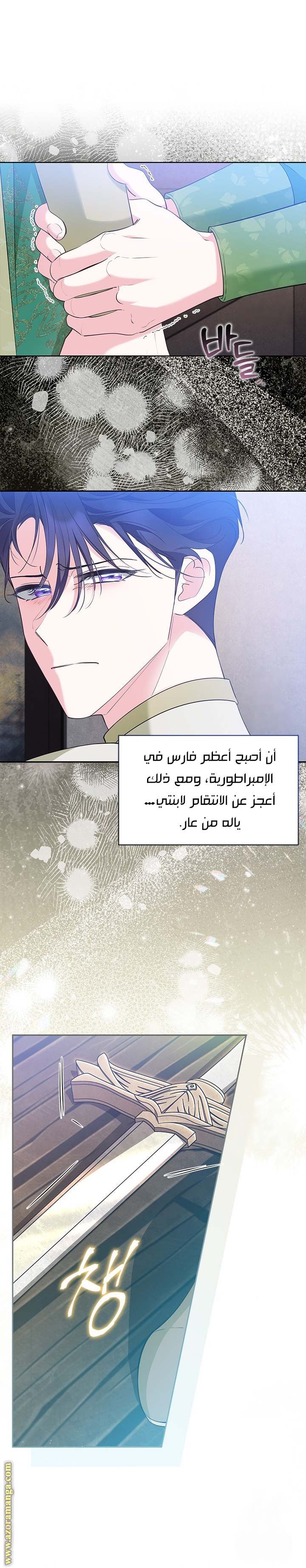 الصفحة 17