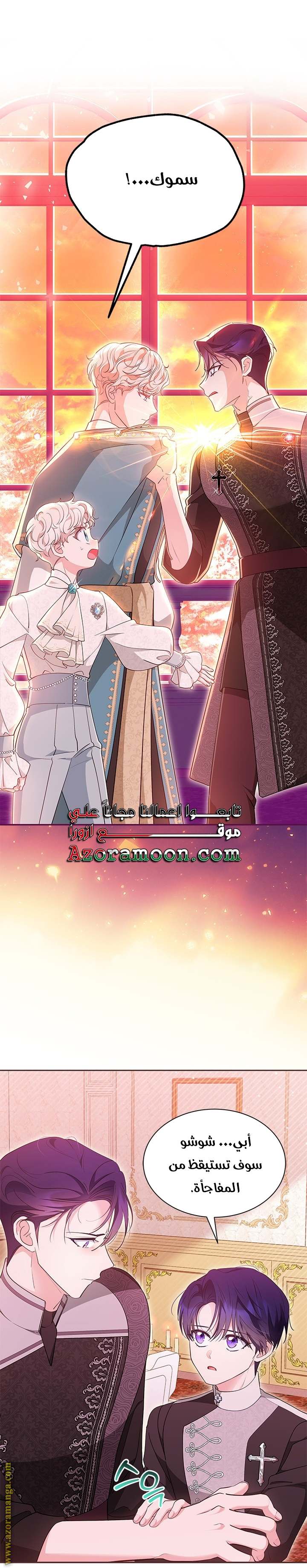الصفحة 20