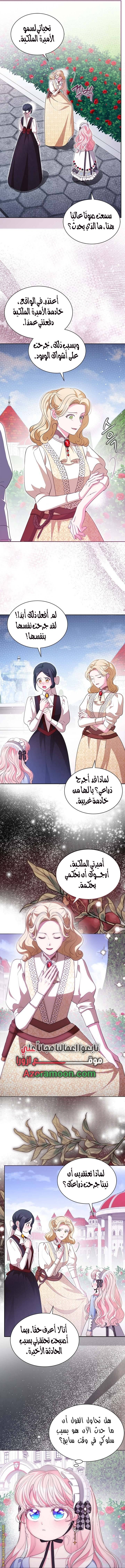 الصفحة 13