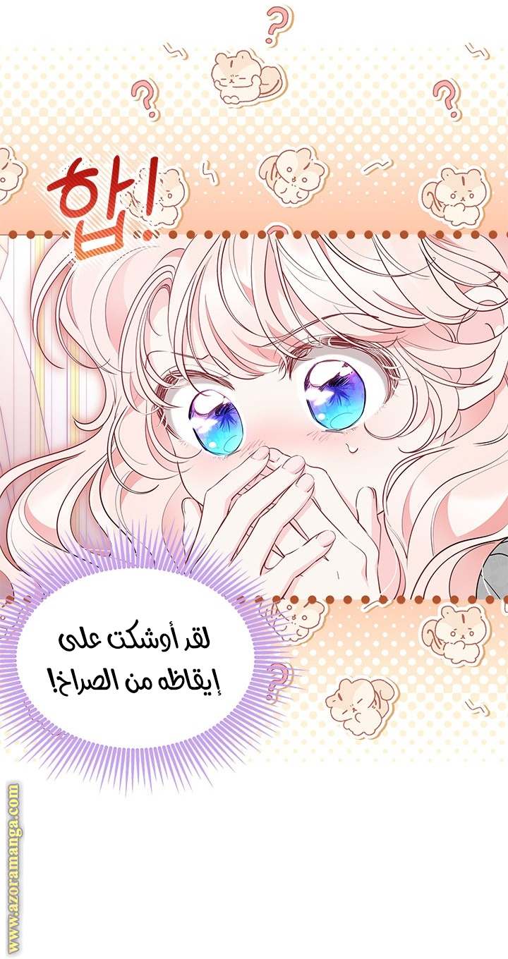 الصفحة 7