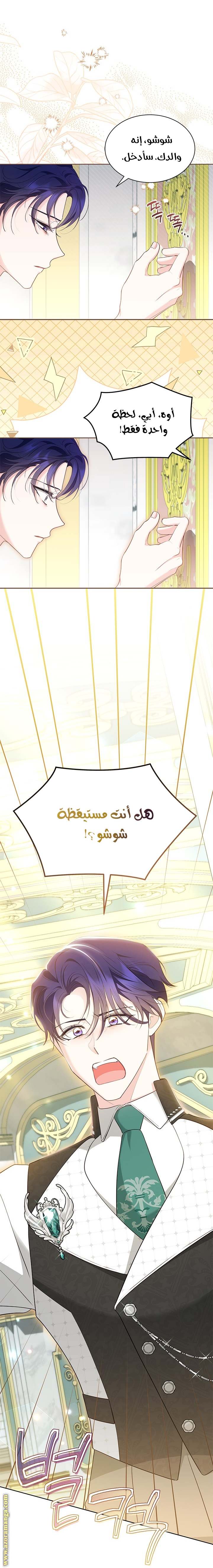 الصفحة 13