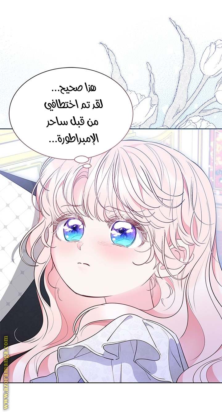الصفحة 23