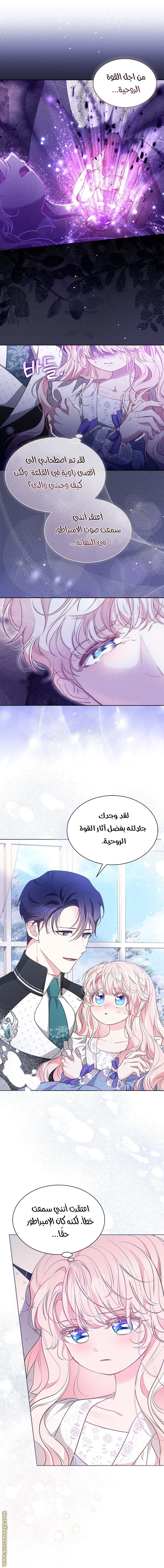 الصفحة 24