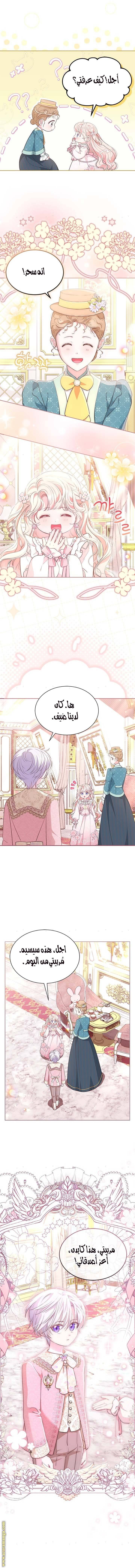 الصفحة 6