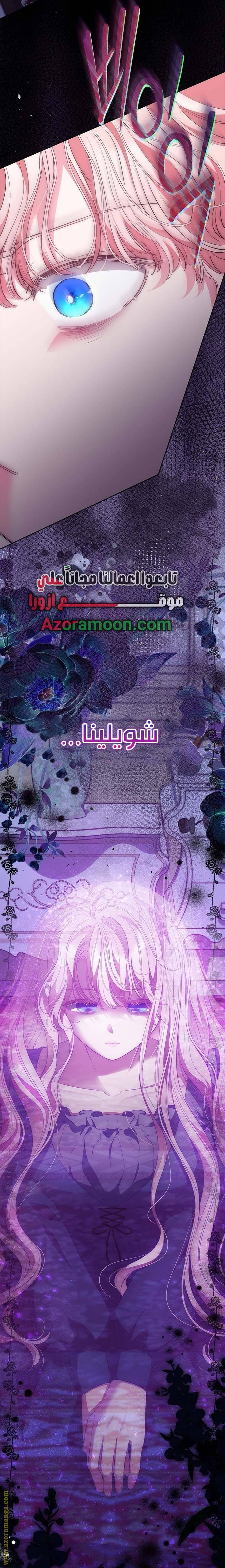 الصفحة 26