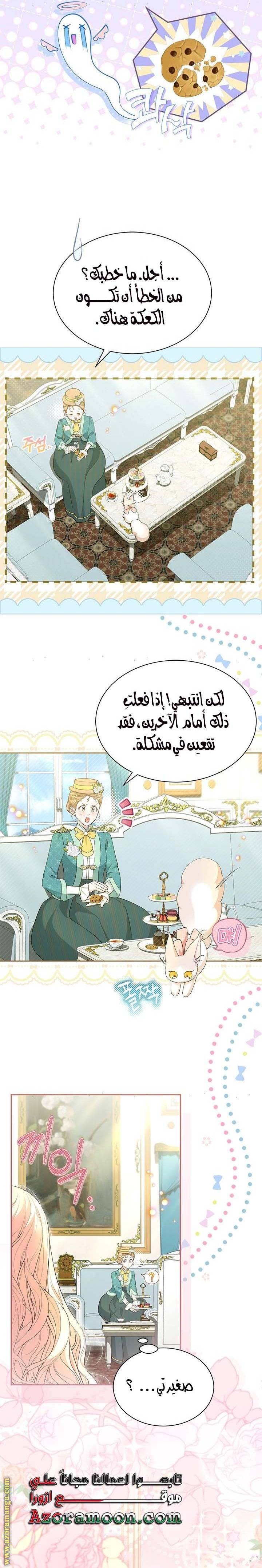 الصفحة 25