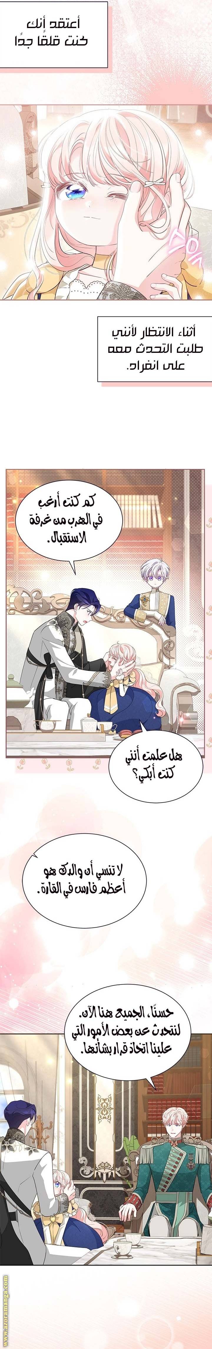 الصفحة 17
