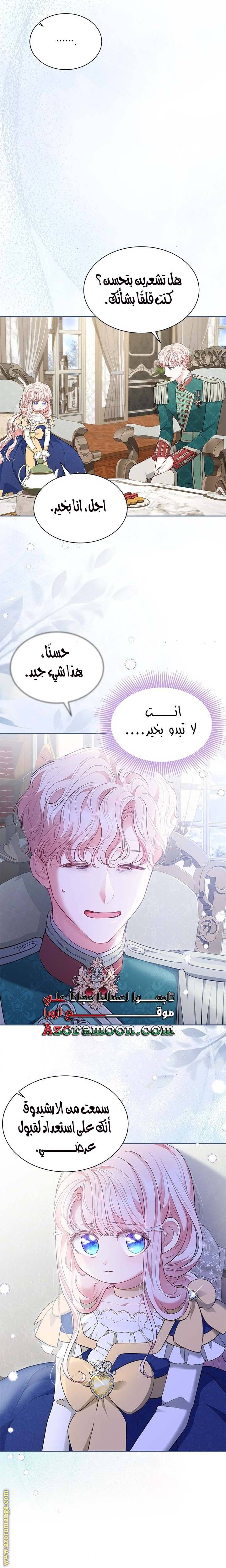 الصفحة 17