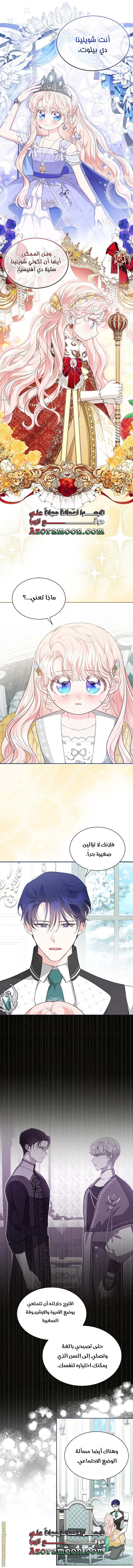 الصفحة 29