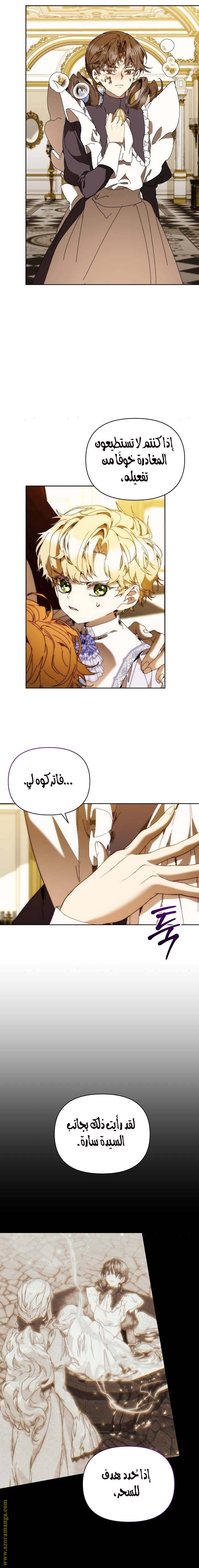 الصفحة 13