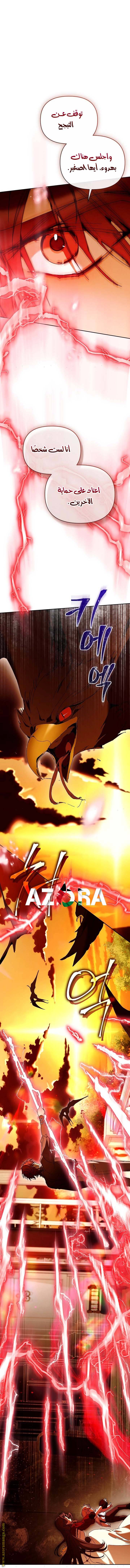الصفحة 21