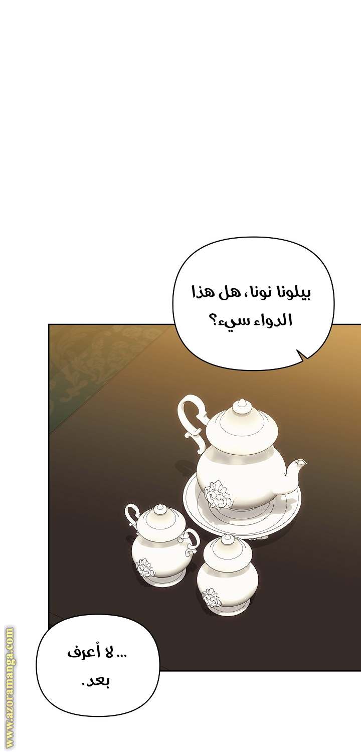 الصفحة 25