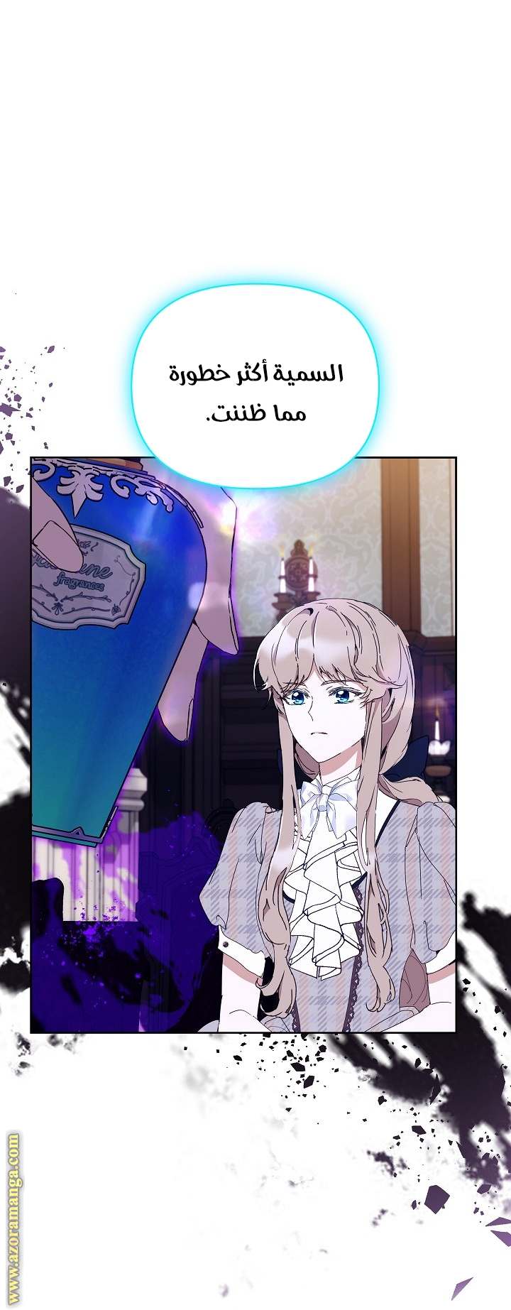 الصفحة 29