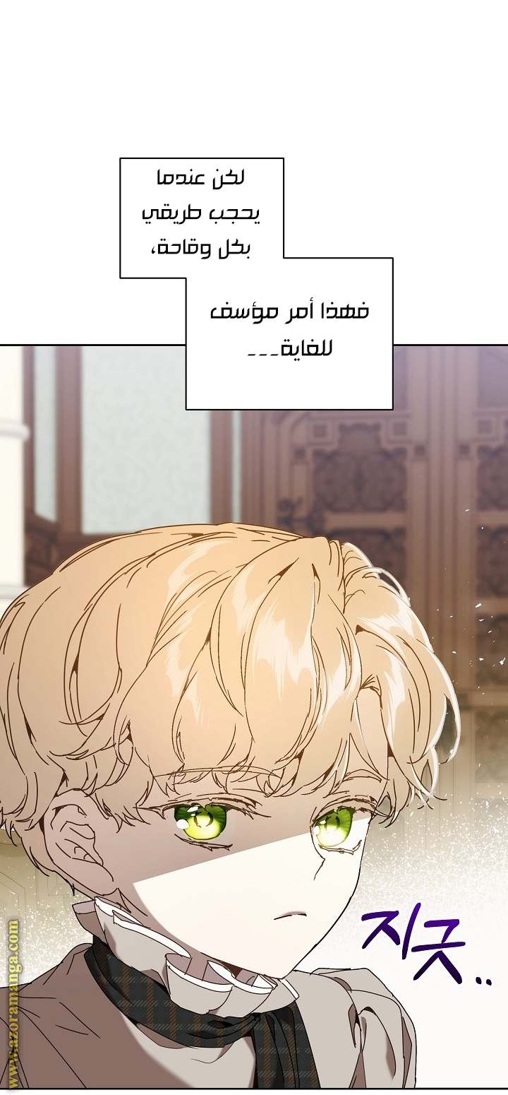 الصفحة 41