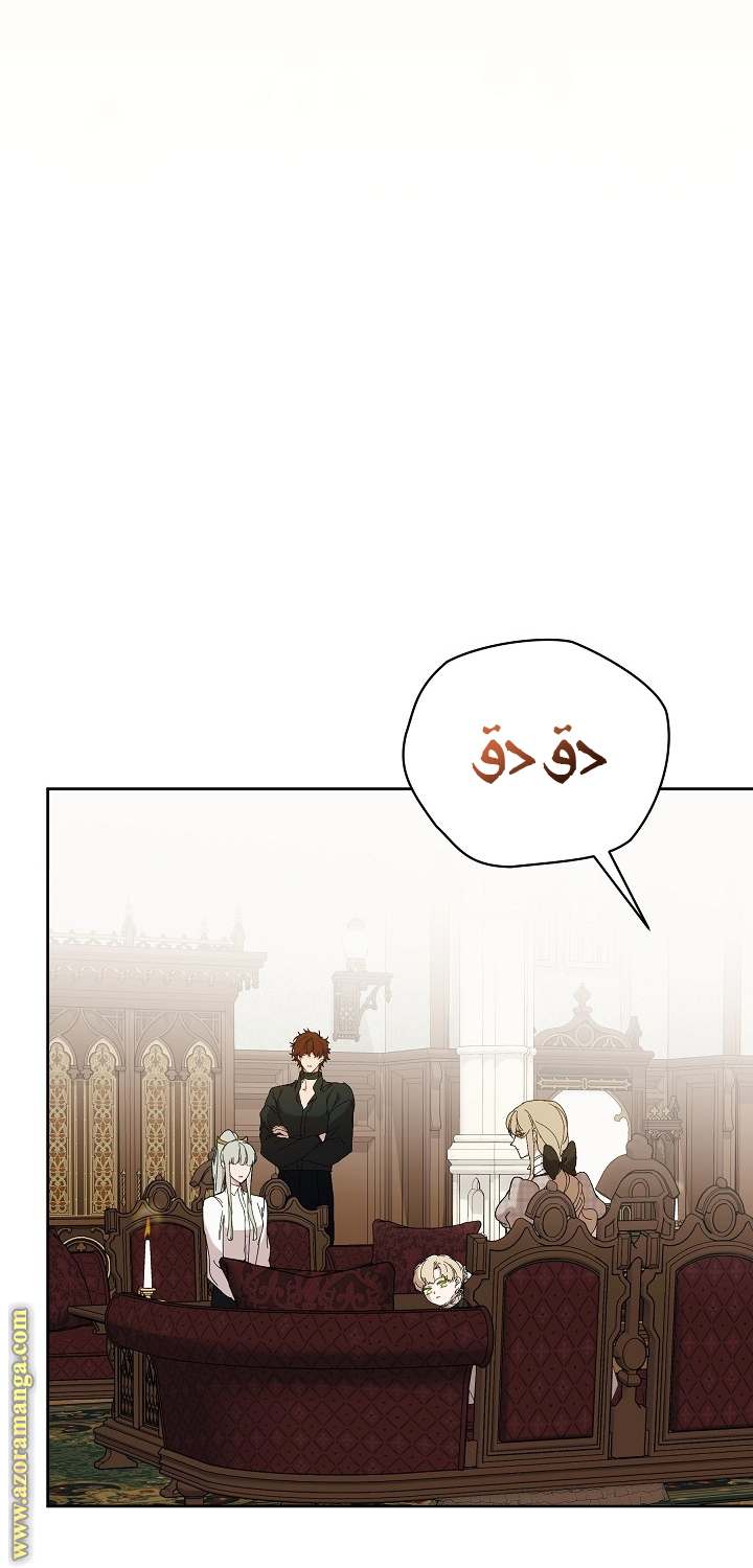الصفحة 43