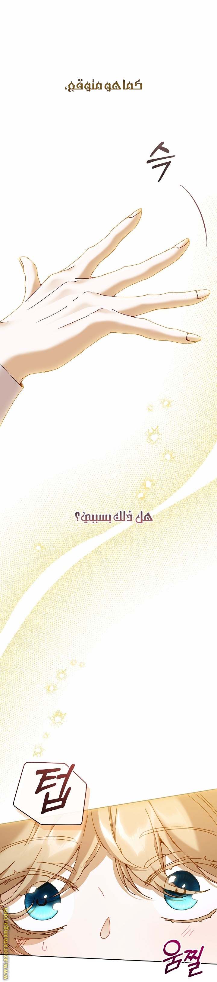الصفحة 28