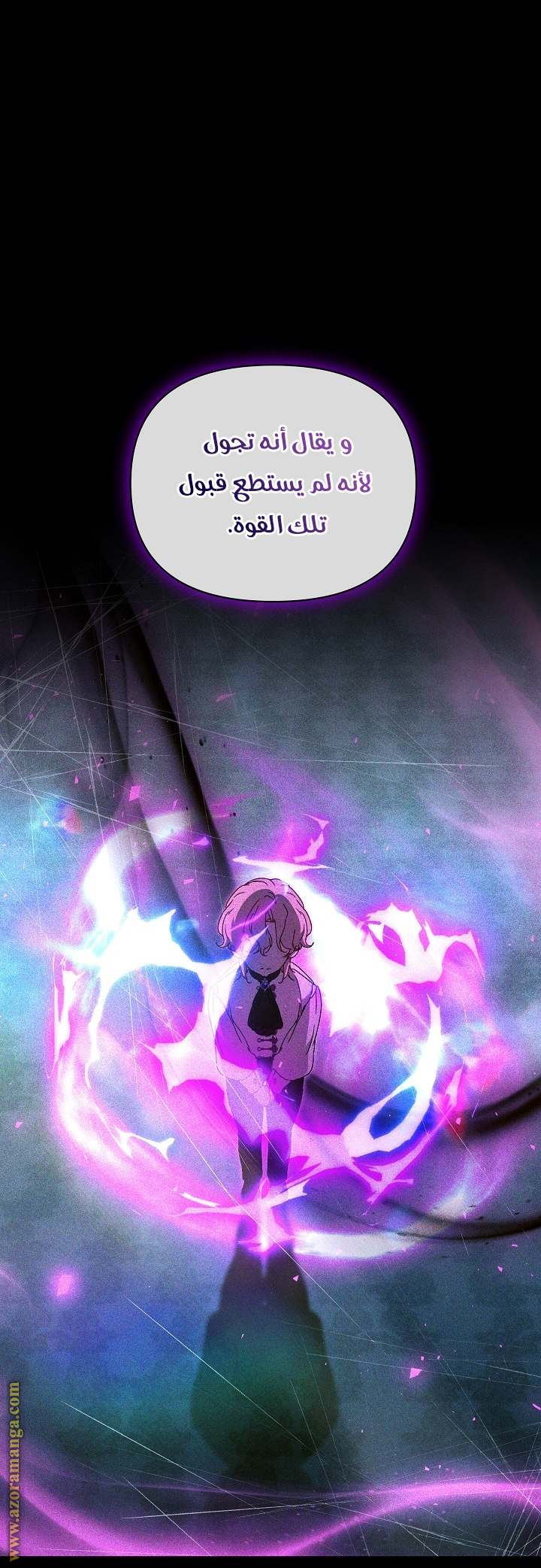 الصفحة 48