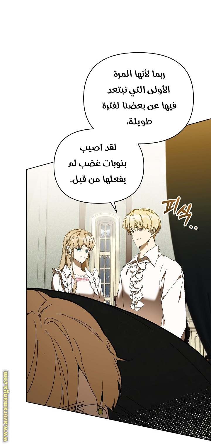 الصفحة 27