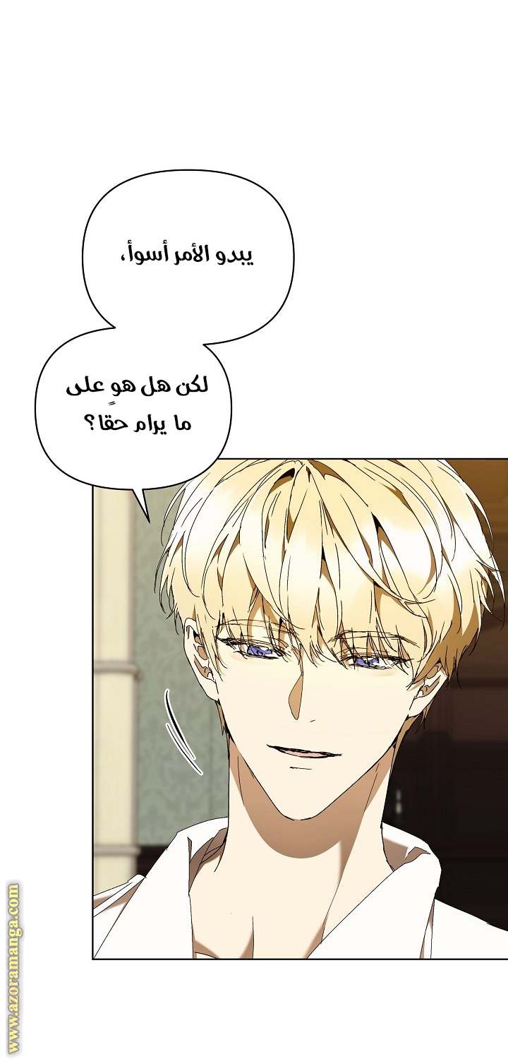 الصفحة 29