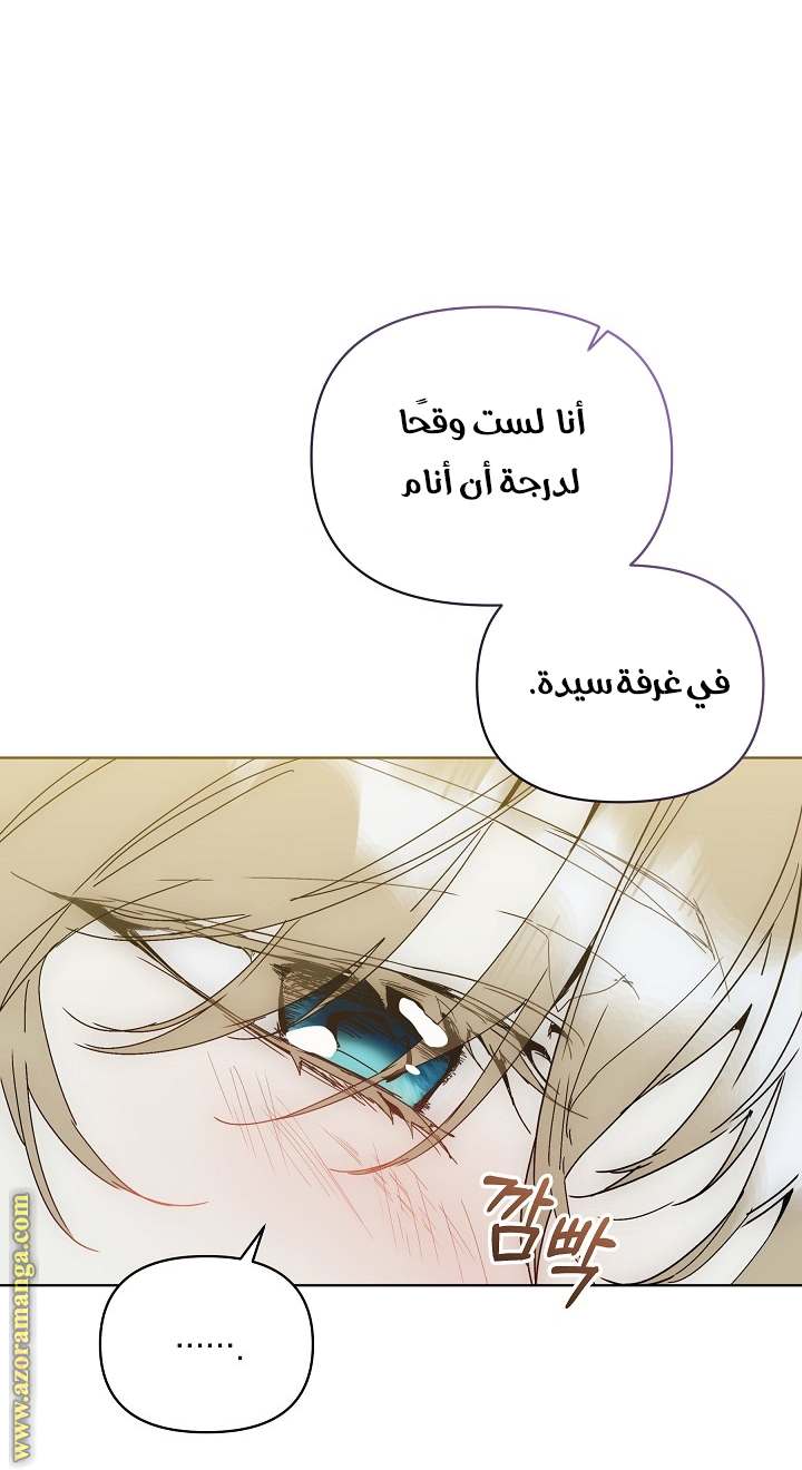 الصفحة 41