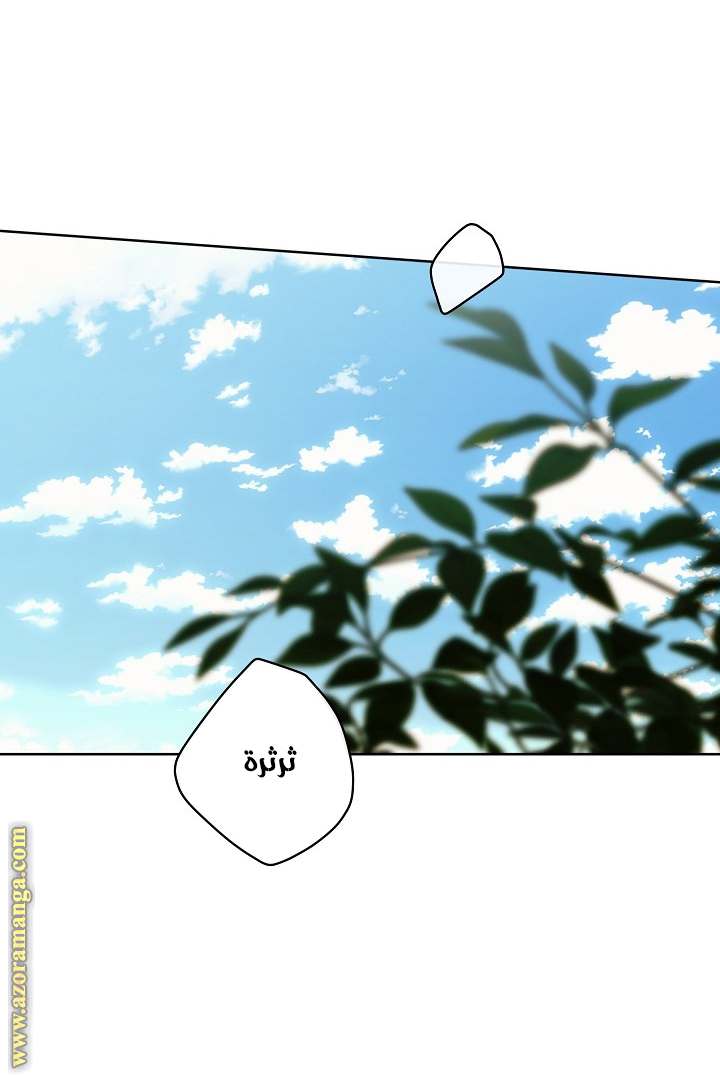 الصفحة 47