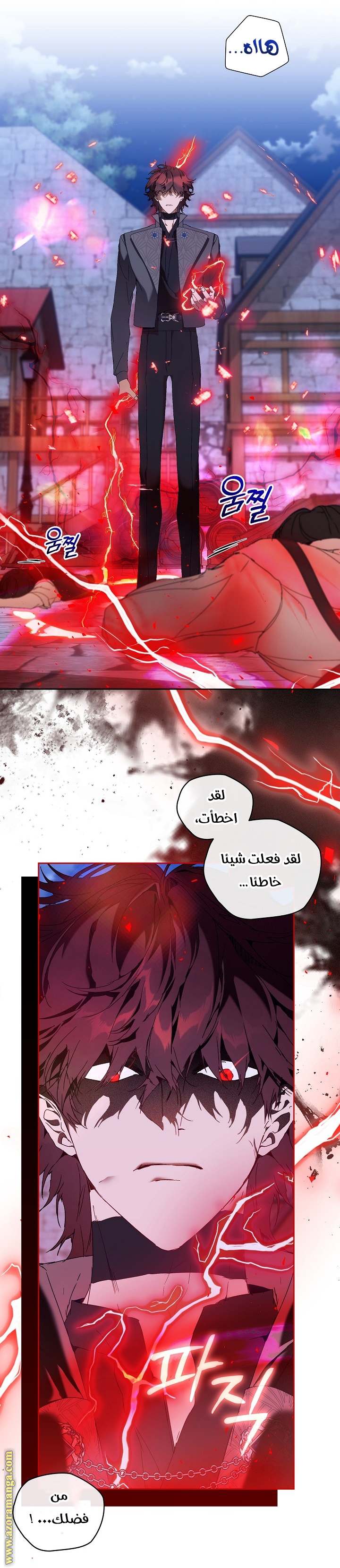 الصفحة 26