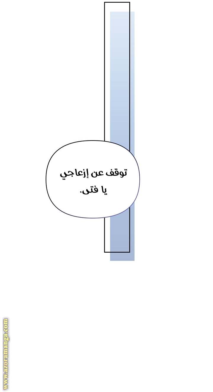 الصفحة 45