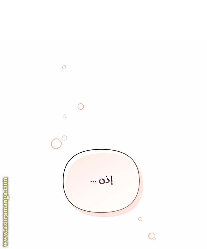 الصفحة 25