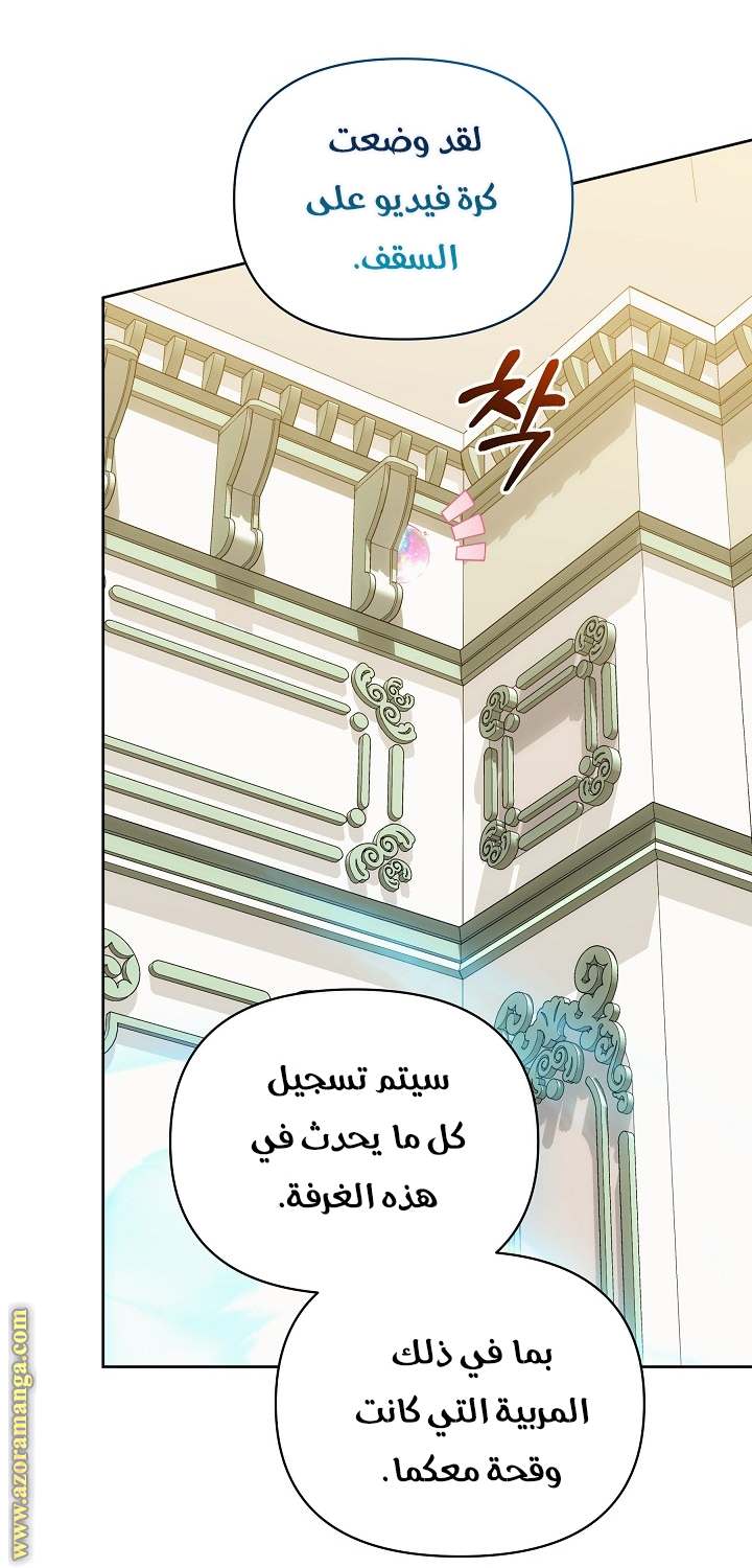 الصفحة 27